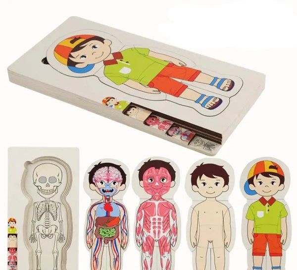 Puzzle anatomie du corps humain en bois FILLE ou GARÇON 3ans +