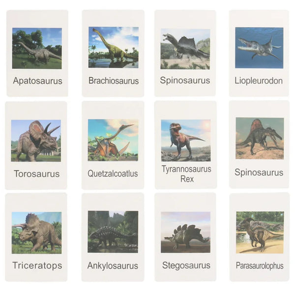 FOU des dinos! Images de dinos Montessori.