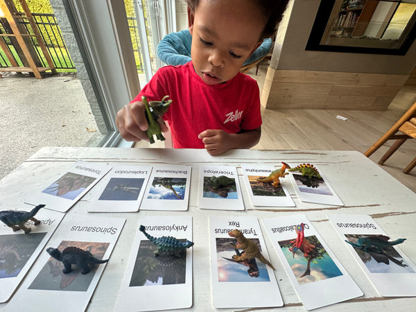 FOU des dinos! Images de dinos Montessori.