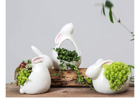 Ensemble 3 lapins 🐇 pour petites plantes.