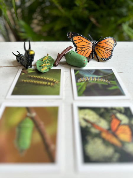 Le cycle de la nature. Cartes & figurines Montessori.