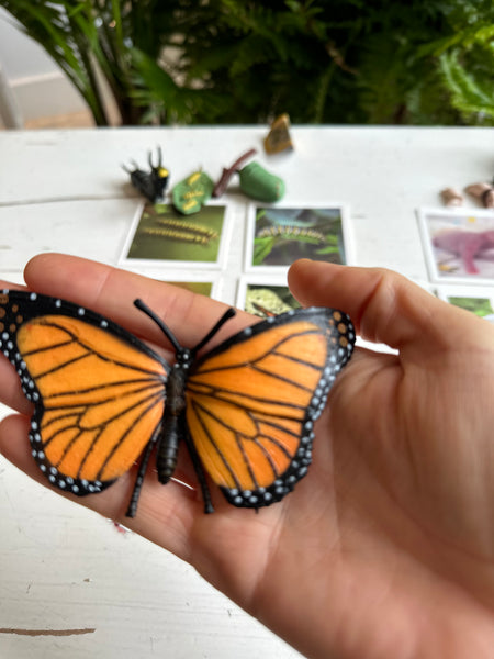 Le cycle de la nature. Cartes & figurines Montessori.