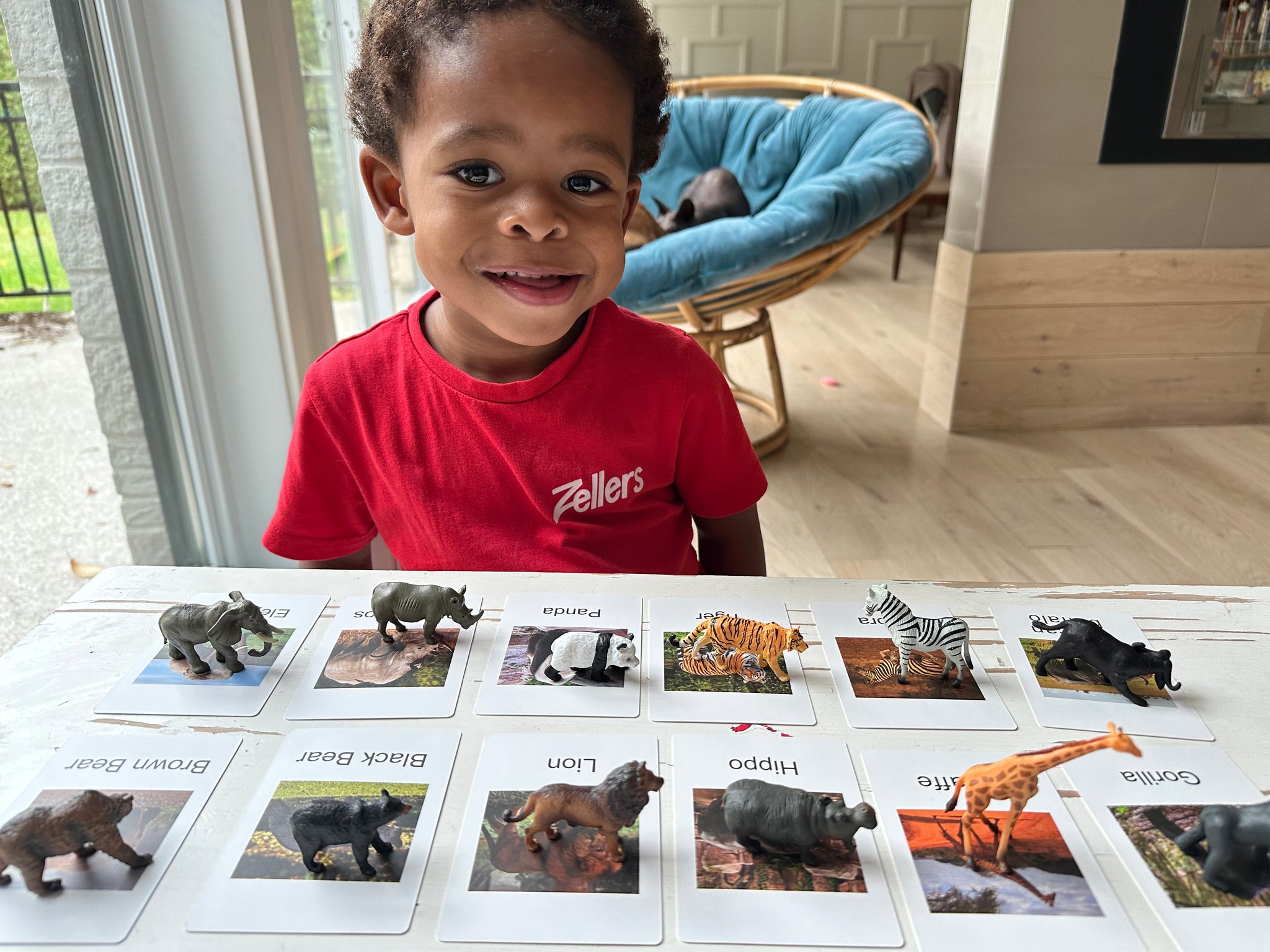 Fou des animaux carte et figurines