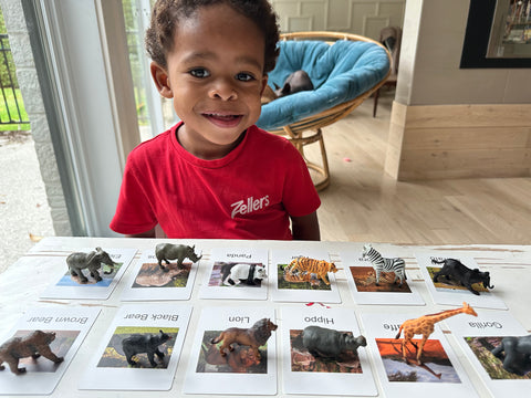 Fou des animaux carte et figurines