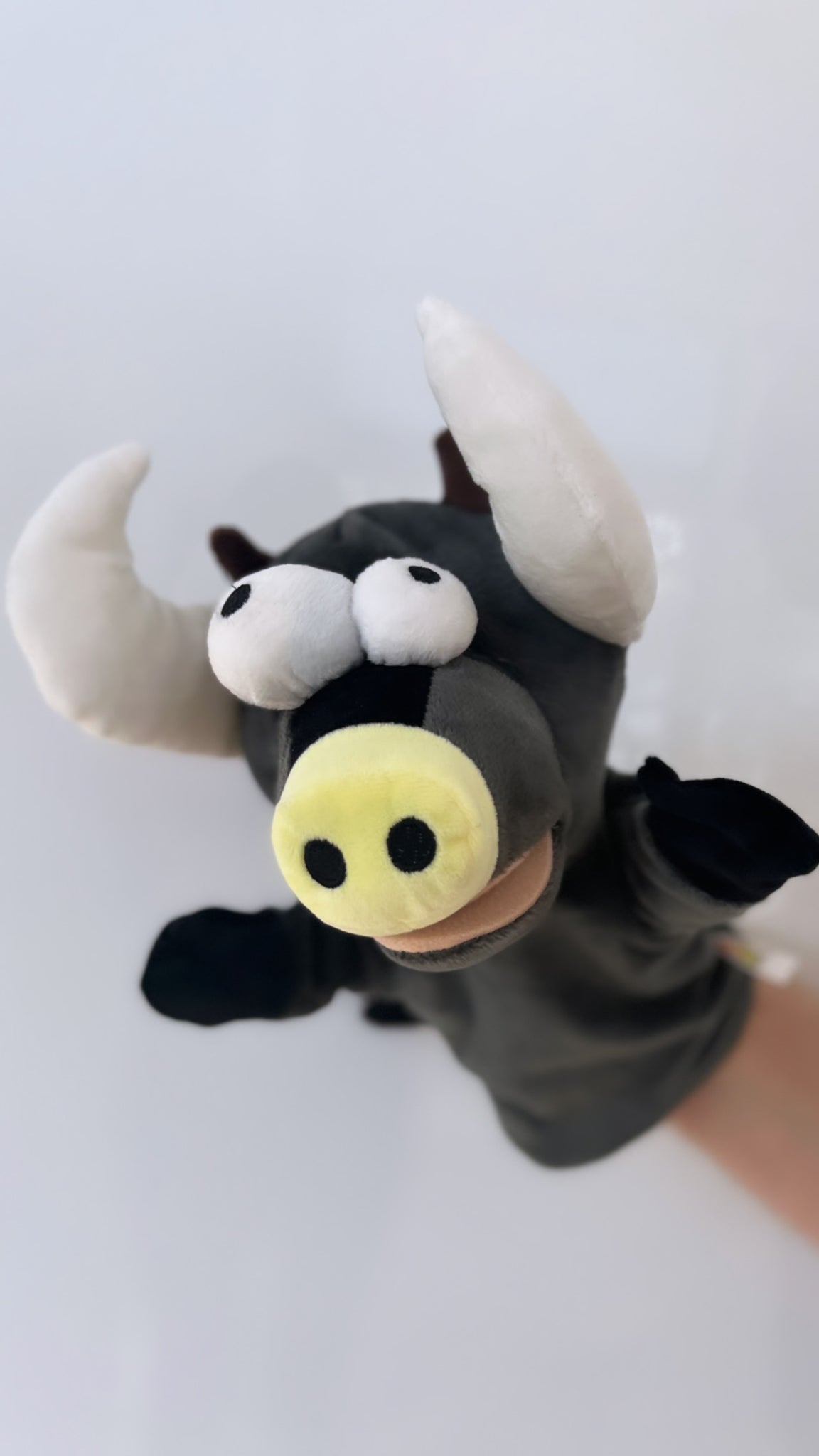 TÉO  la marionnette TAUREAU de Franky taureau 🐮